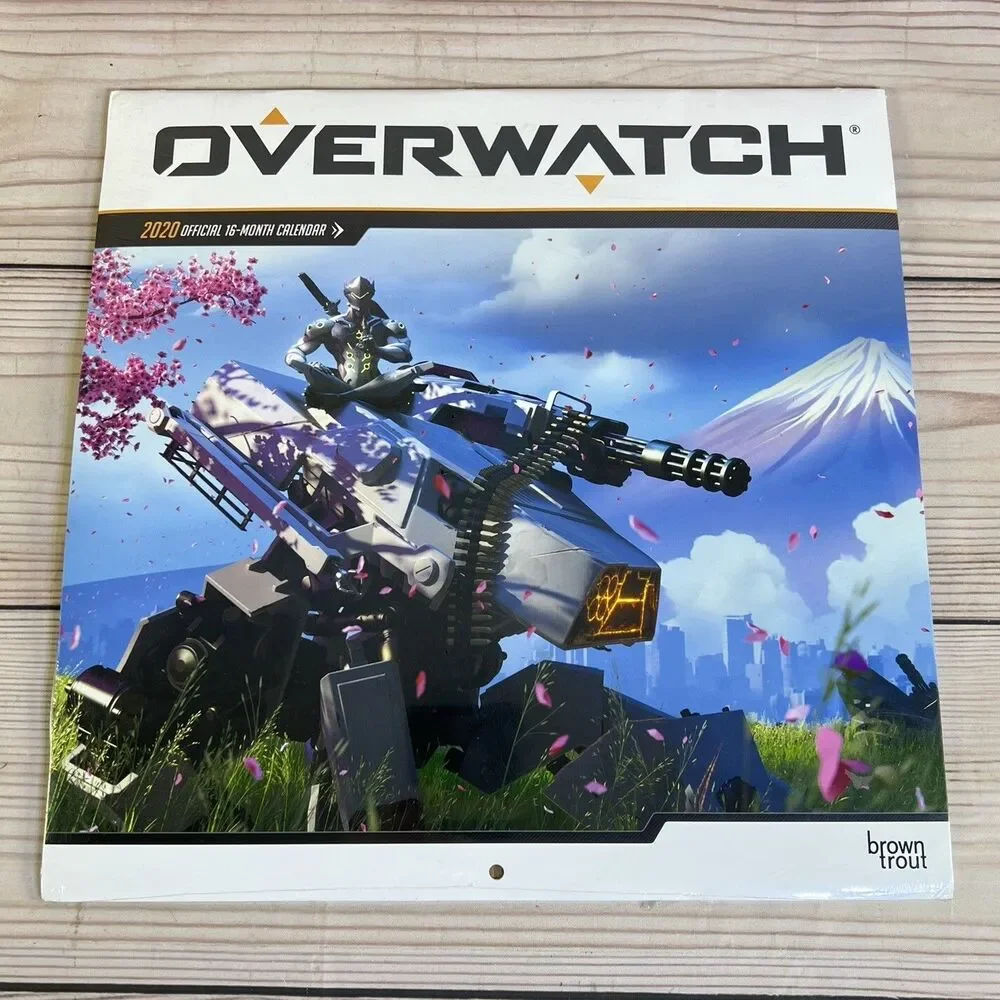 Overwatch video game